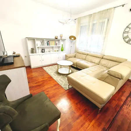 Luxury Apartment
